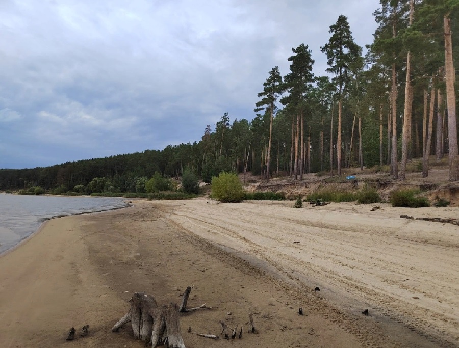 Радий Зябиров рассказал, собираются ли чистить дно Сурского водохранилища