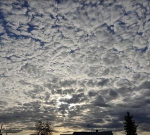 Пензенские студенты вошли в состав сборной для участия в российско-китайских зимних молодежных играх