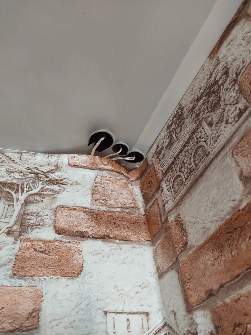 Из-за протечки крыши дома в Сердобске под потолком жильцов выросли грибы