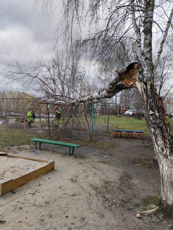 Из-за урагана жители Пензенского района остались без света и отопления в выходные