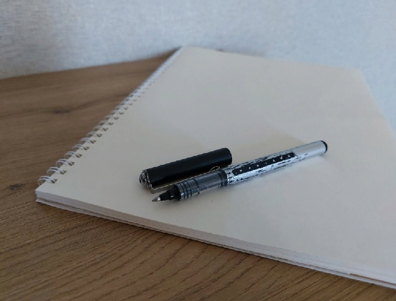 В Пензе дом с обрушенным потолком на улице Ударной,34 изымут для муниципальных нужд