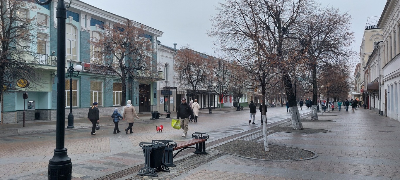 В Пензе волонтеры смогут помогать не только медикам, но и сотрудникам полиции