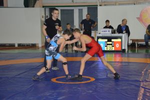 В Кузнецке прошел всероссийский турнир по спортивной борьбе