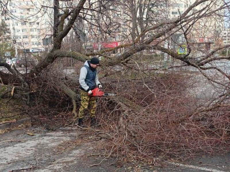 В Пензе ураган повредил крыши домов на улицах Воровского и Володарского