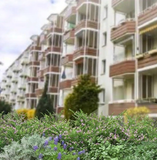 Специалисты ЦУР рассказали, как благоустроить придомовые территории