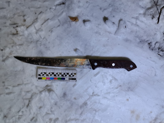 Появились фото с места кровавой резни в Земетчинском районе