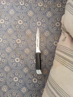 В Никольске отец не стерпел оскорблений в адрес дочери и убил приятеля