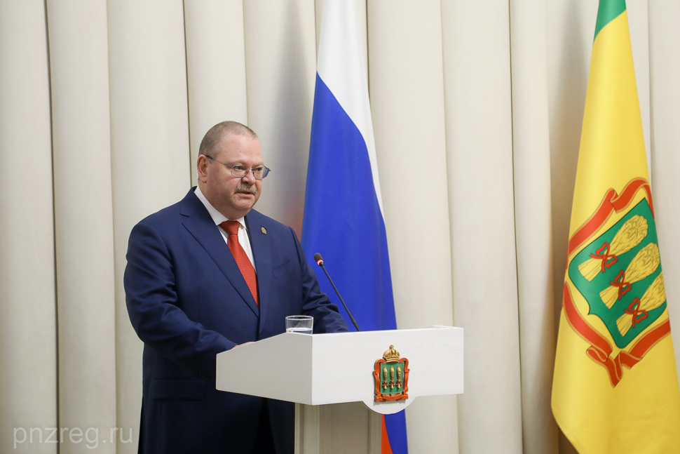 Олег Мельниченко наградил участников СВО в День Конституции