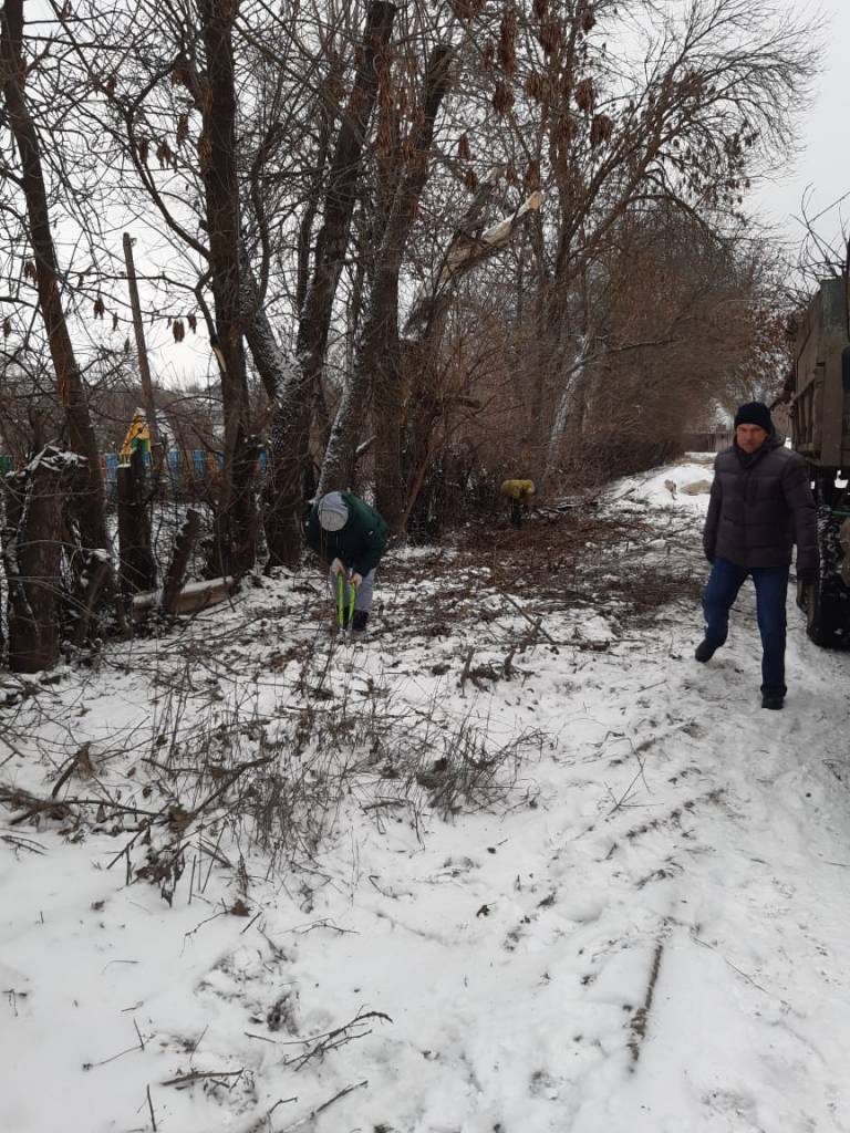 В Сердобске чиновники вырубили деревья
