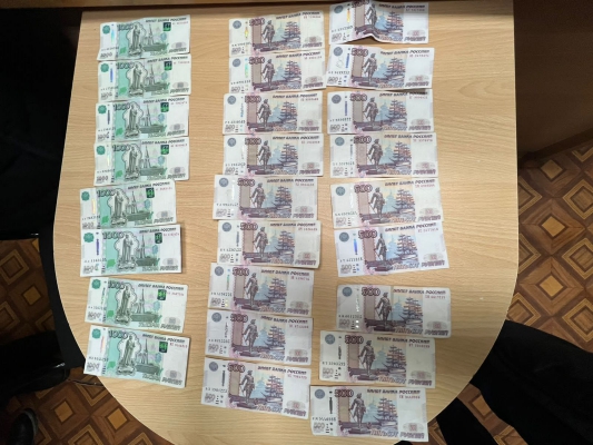 В Пензенской области водитель без прав пытался дать взятку сотруднику полиции