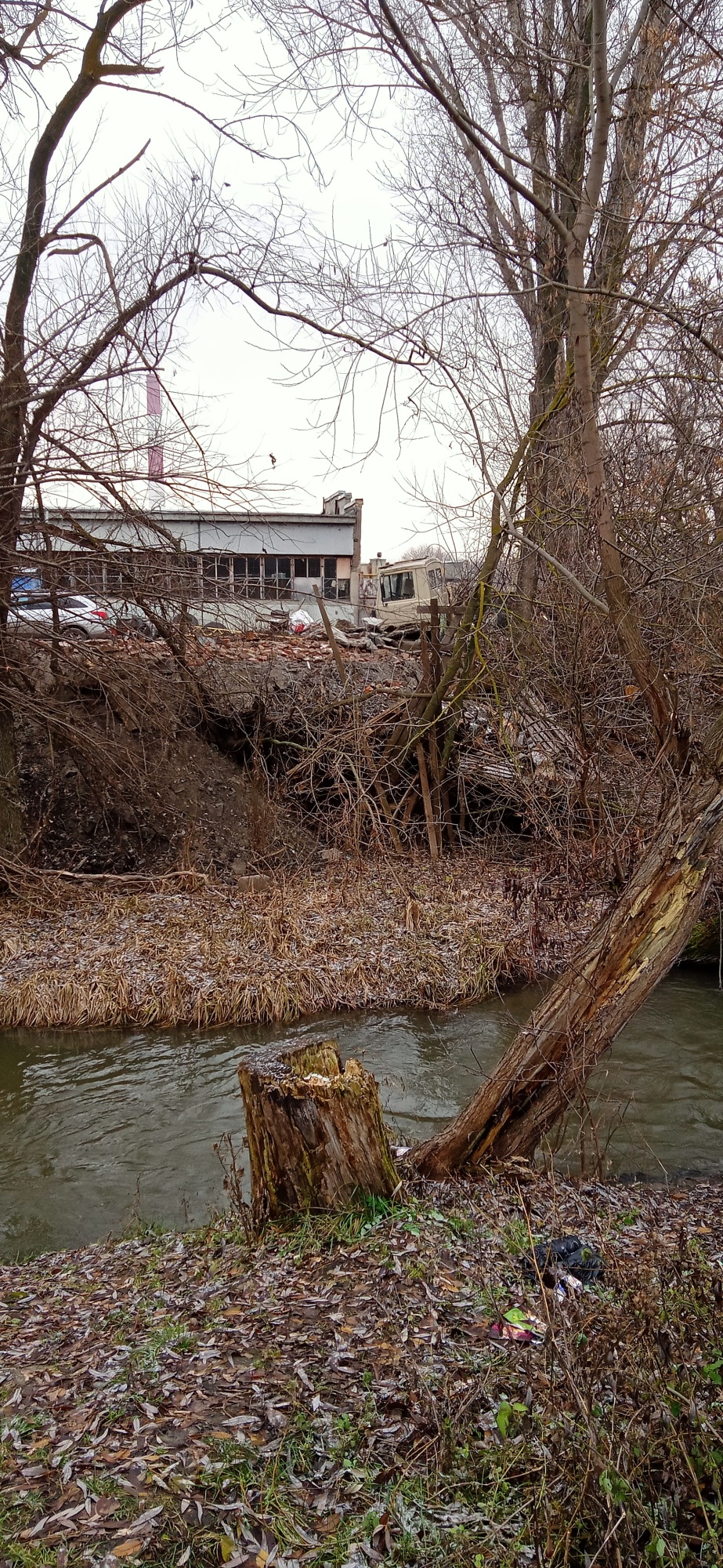 В Пензе жители вновь замусорили ручей Безымянный