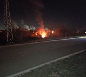 В пензенском МЧС пояснили, что горело на набережной старицы Суры