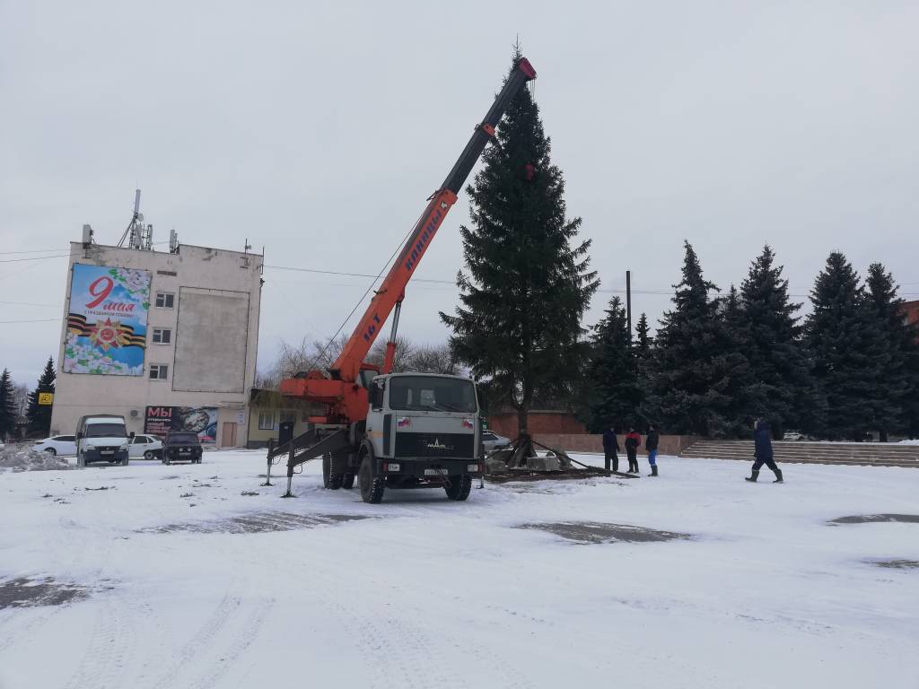 В Сердобске установили главную новогоднюю елку