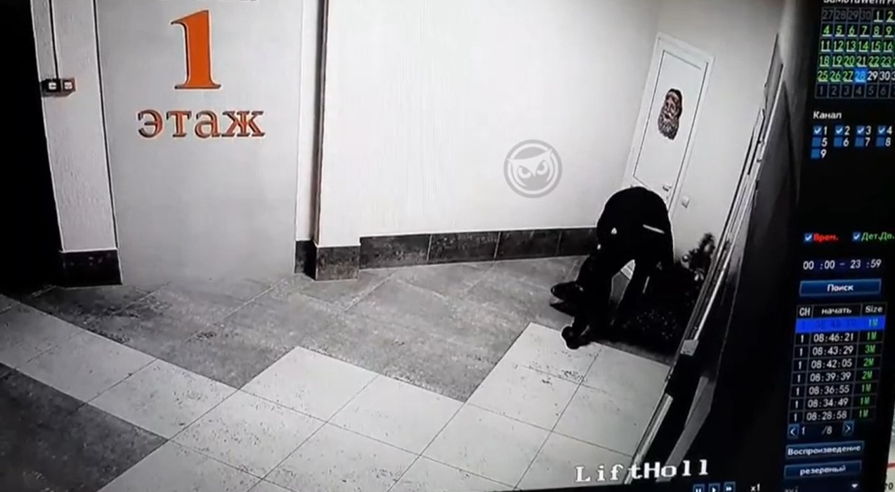 Пензенец украл елку из собственного подъезда