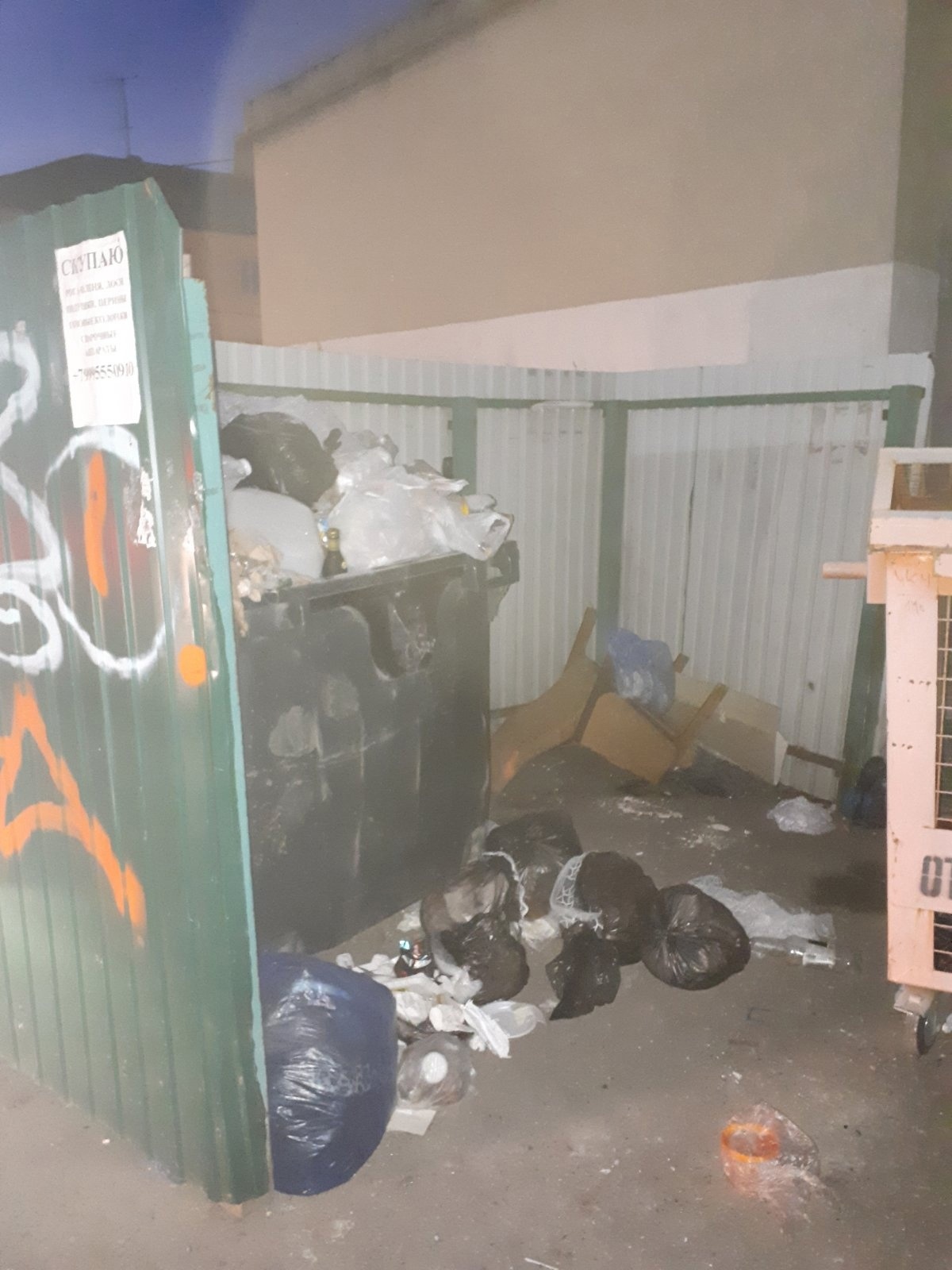 После жалоб пензенцев в городе на нескольких улицах убрали свалки