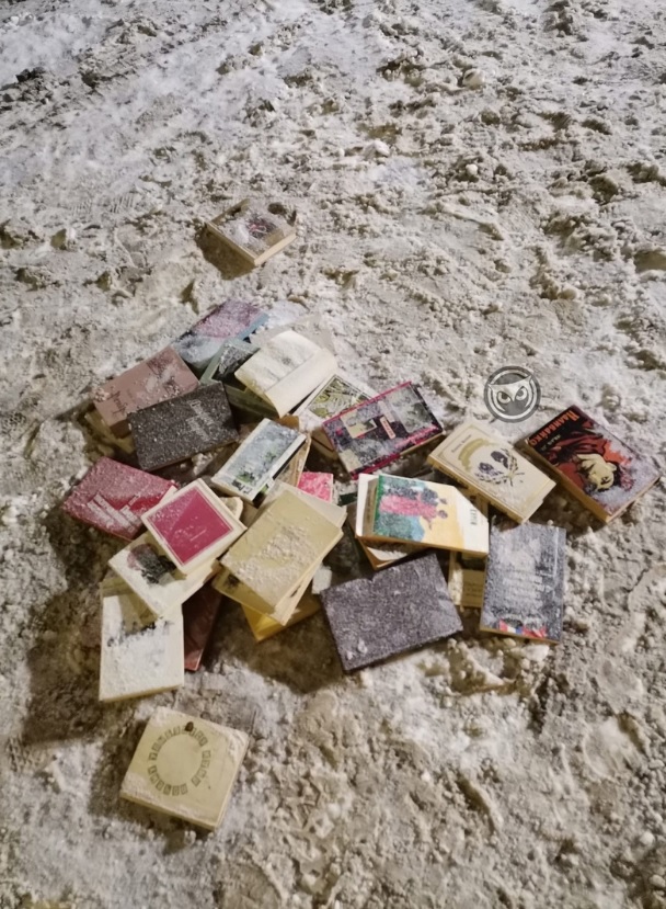 Пензенцы возмутились выброшенными в снег книгами