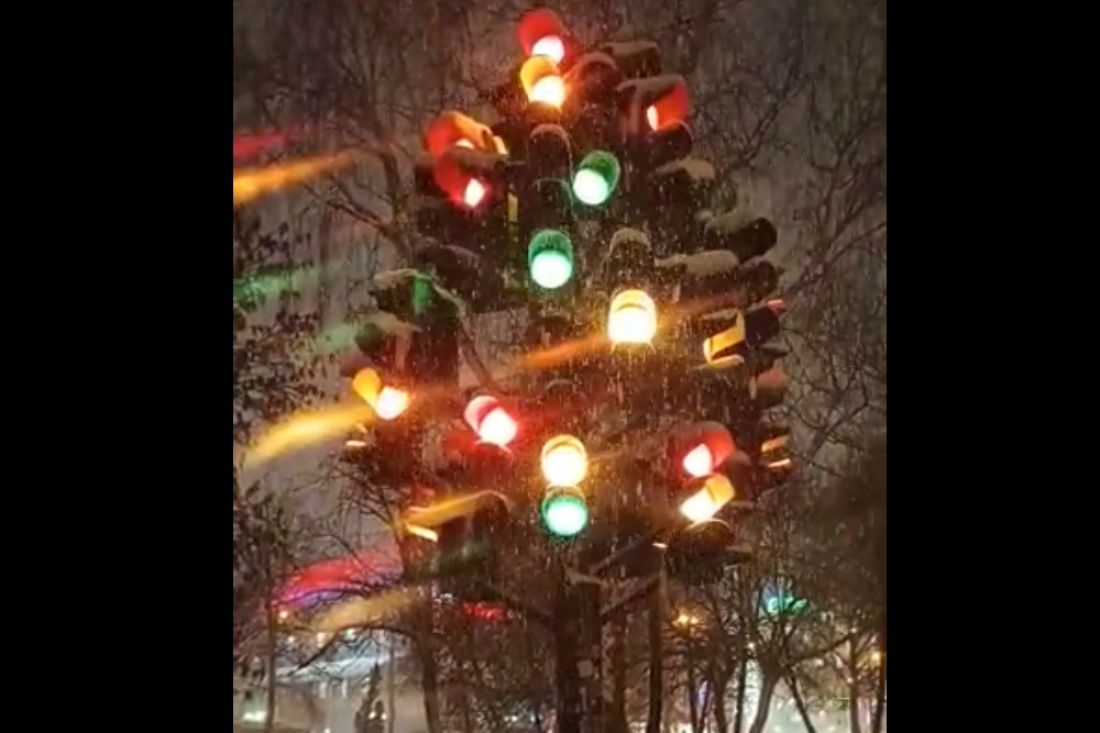 В Пензе снова начал работать арт-объект «Светофорное дерево»