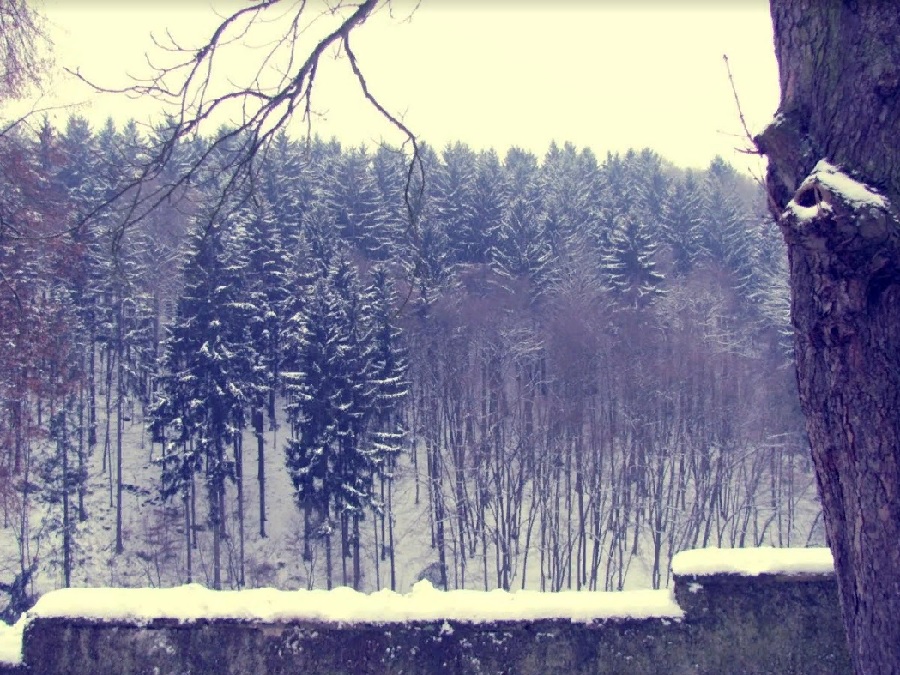 В Пензенской области ожидают метель и гололед