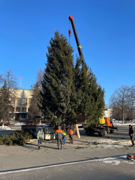В Кузнецке установили главную новогоднюю елку