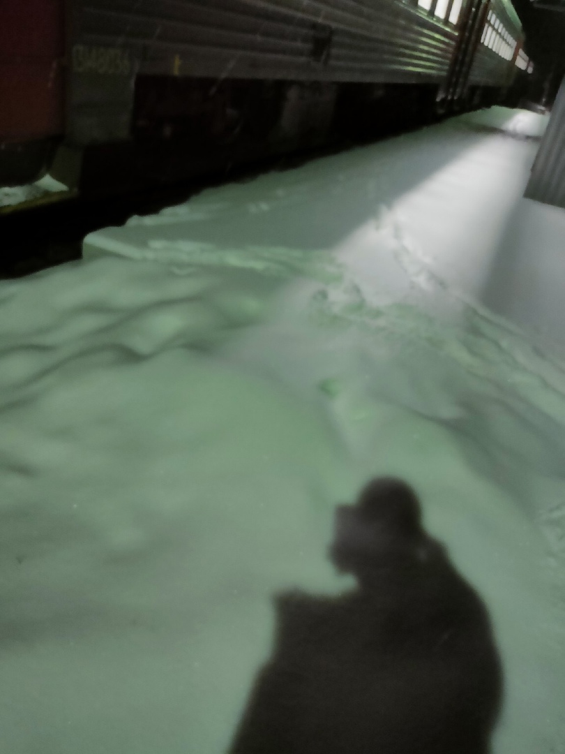 Житель Бессоновского района пожаловался на разобранный перрон