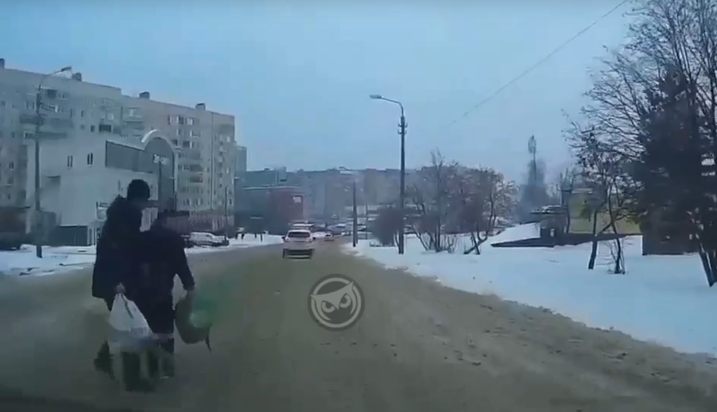 В Пензе водитель едва не сбил пешеходов, перебегавших дорогу