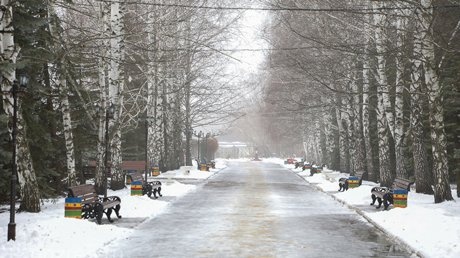 В парке "Берёзовая роща" города Сердобска пройдут новогодние представления