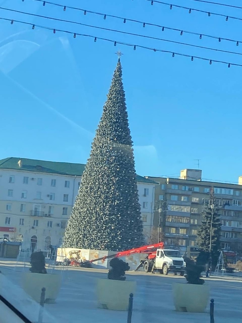 В Пензе приступили к украшению главной городской ёлки