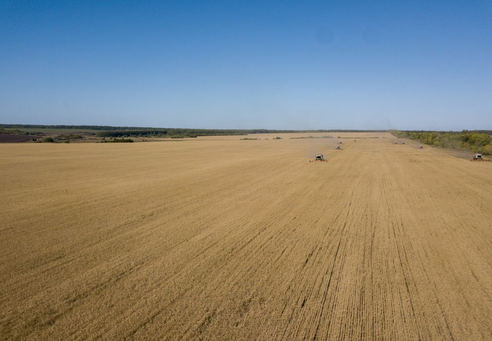 Пензенским аграриям предлагают получить государственную субсидию
