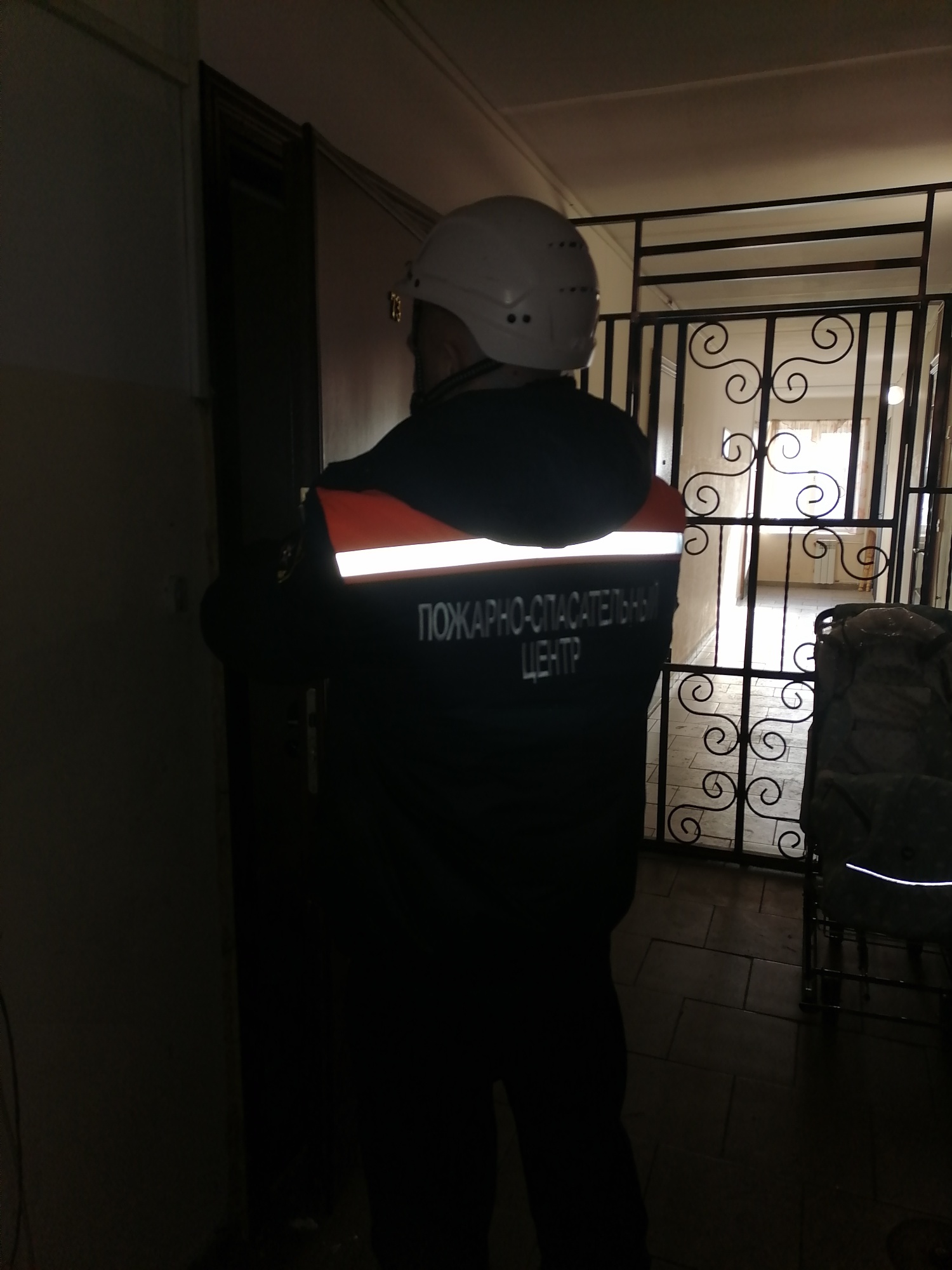 В Пензе спасатели помогли матери попасть к ее запертому ребенку