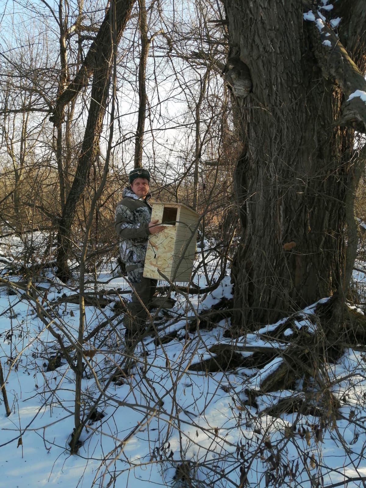 В Пензе установили домики для диких птиц