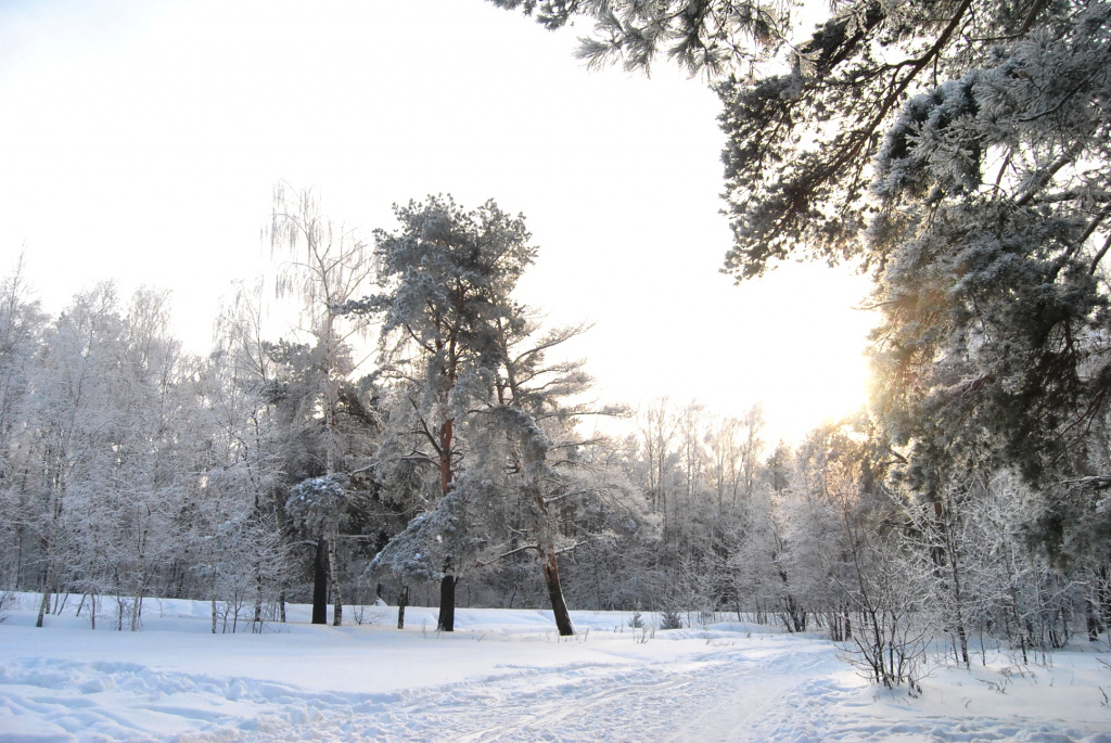 В Пензенской области за 2022 год на охрану природы потрачено более 11,5 млн рублей
