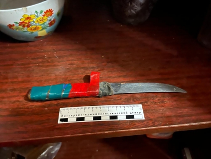 В Вадинске жена зарезала мужа за громкие нецензурные разговоры