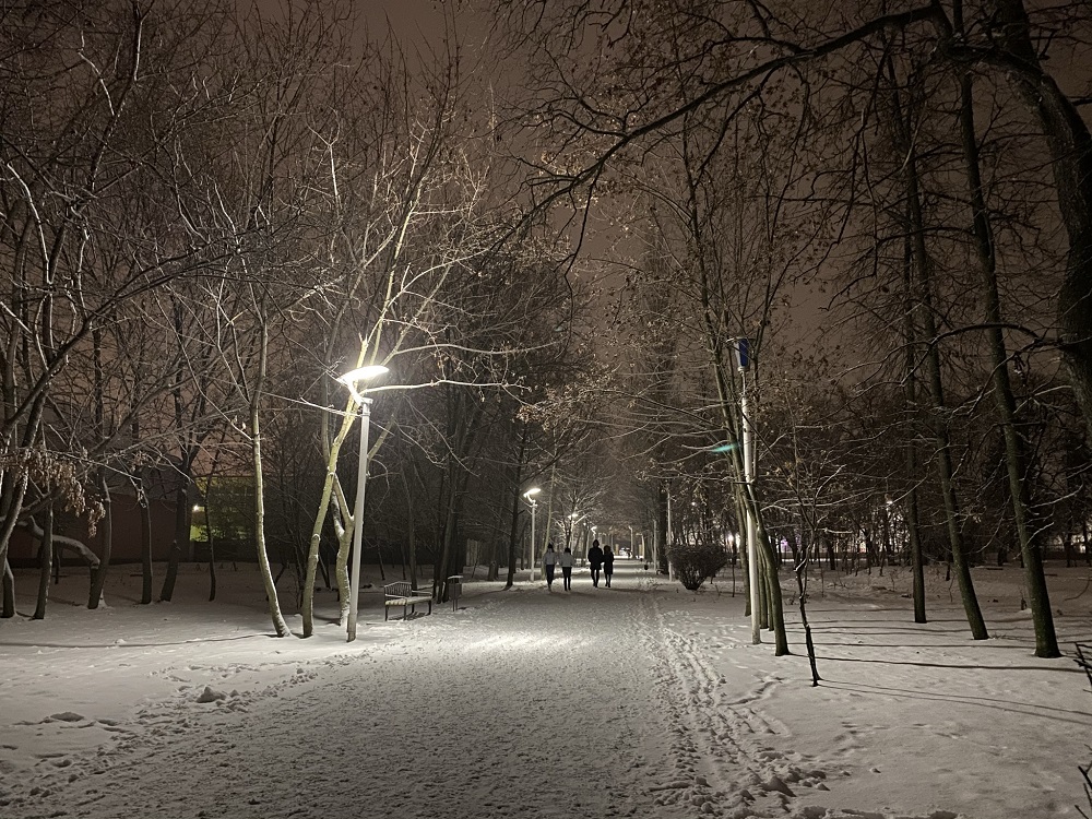 В Пензе не нашлось свободных рук для передвижения полусфер у парка «Комсомольский»