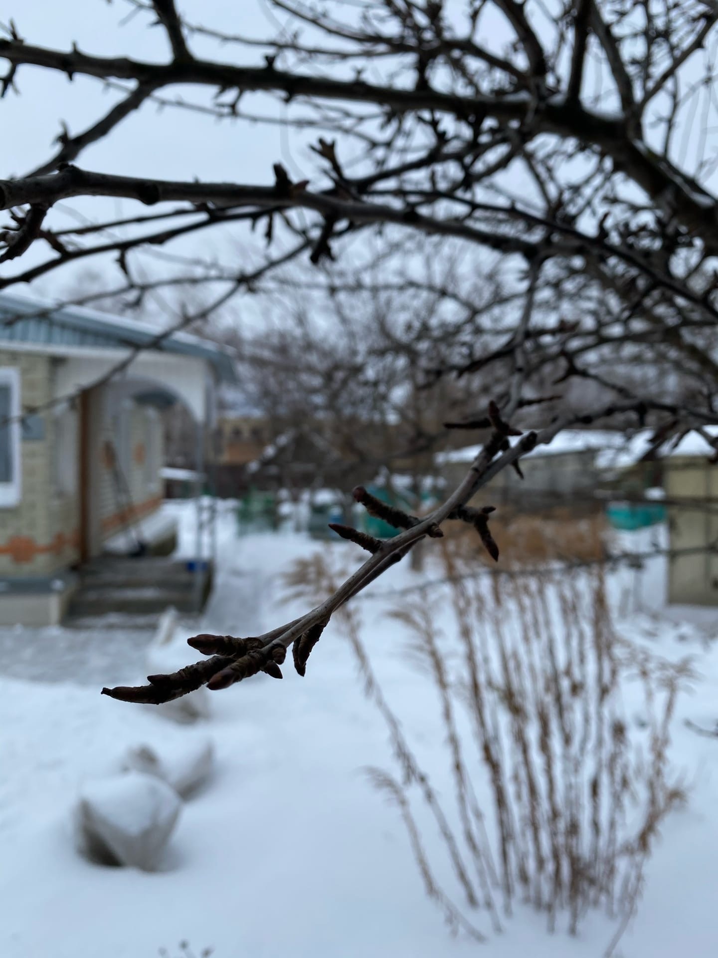 Сердобчанам рекомендуют оставаться дома на время сильных морозов