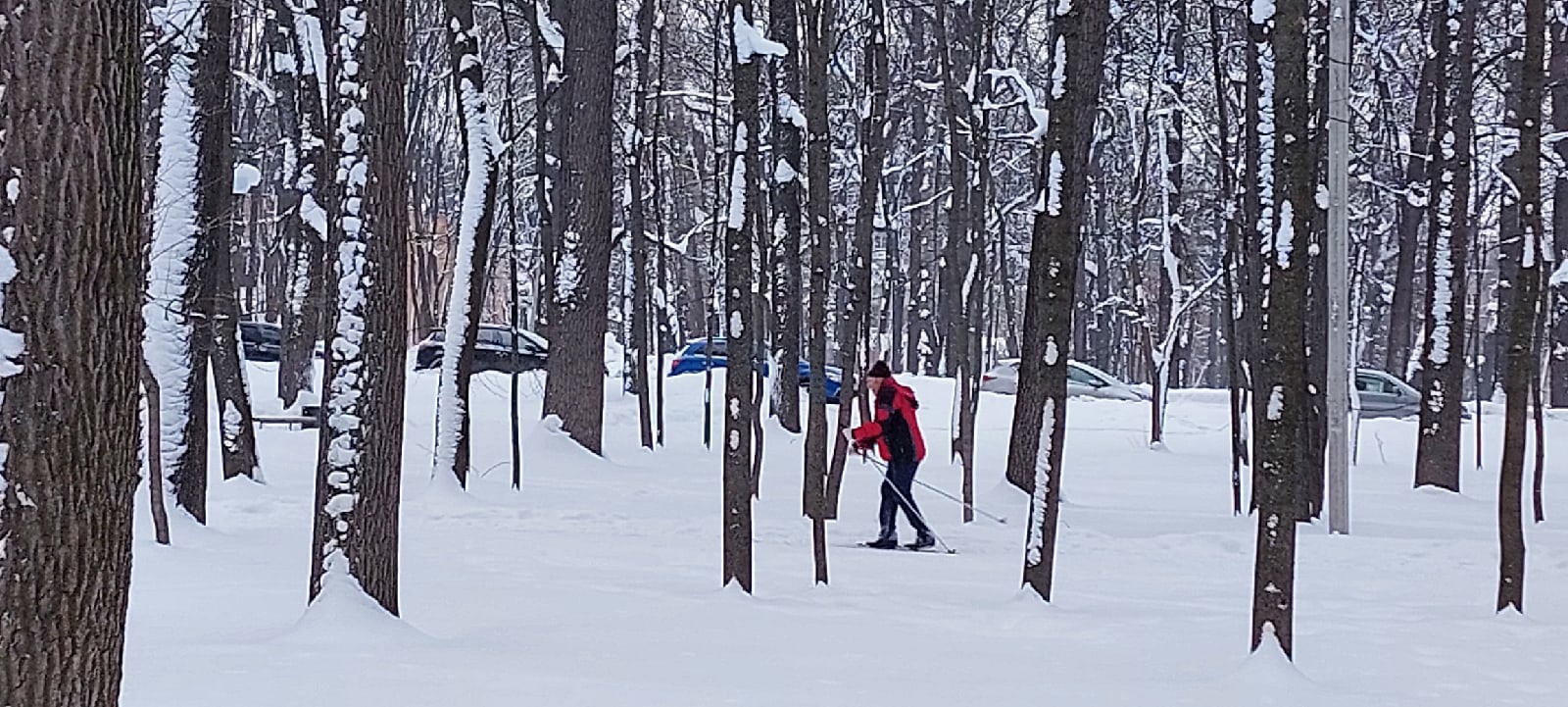 Катание на коньках поможет пензенцам избавиться от отеков после Нового года