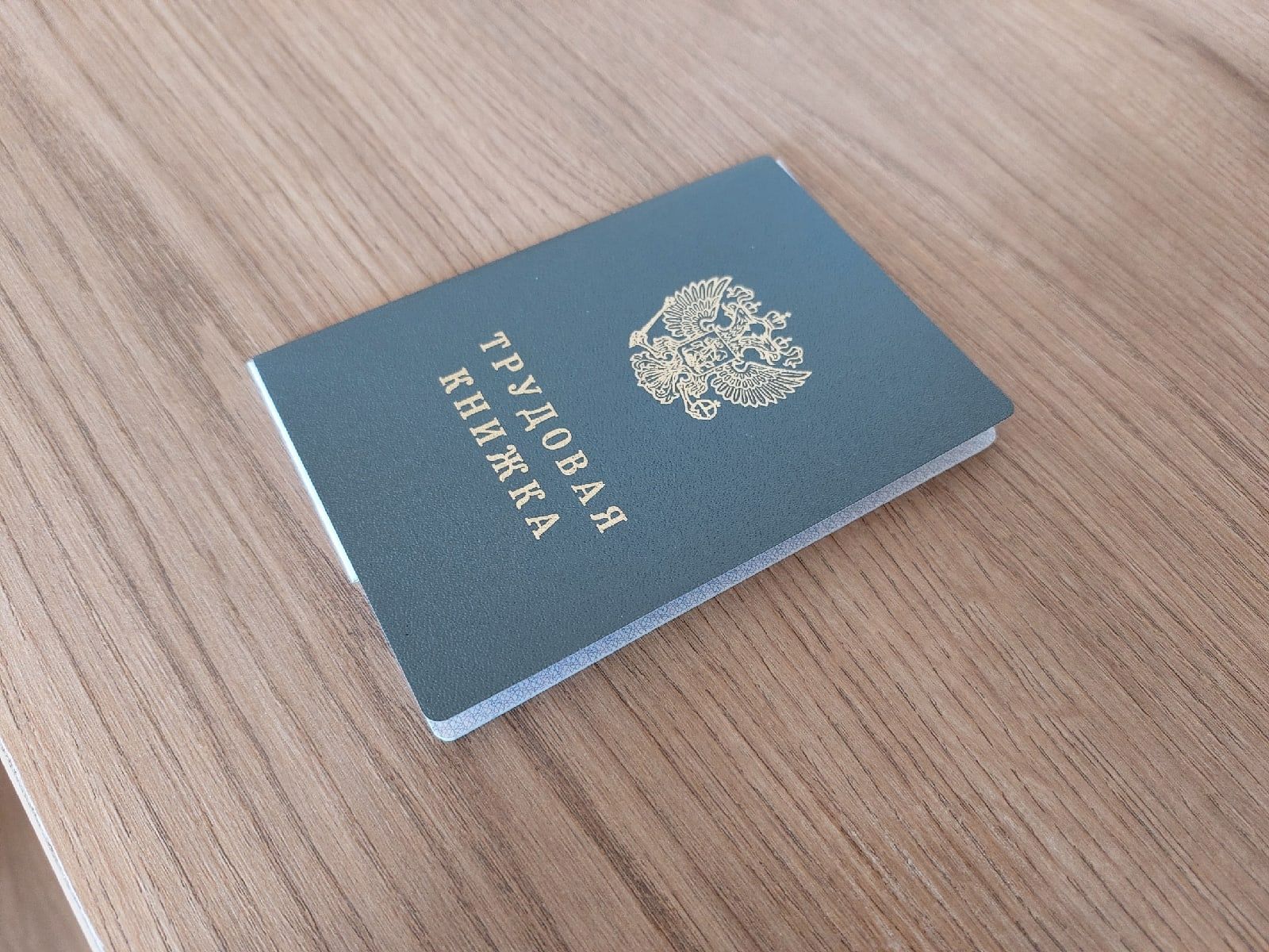 Пензенцам напомнили о действии новых трудовых книжек и правилах их оформления