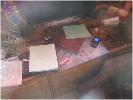 31-летний пензенец избил пьяную мать до смерти