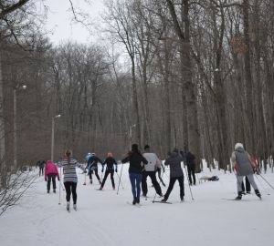 Пензенцам напомнили, где можно покататься на лыжах