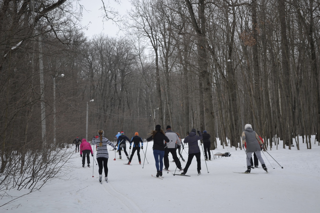 Пензенцам напомнили, где можно покататься на лыжах