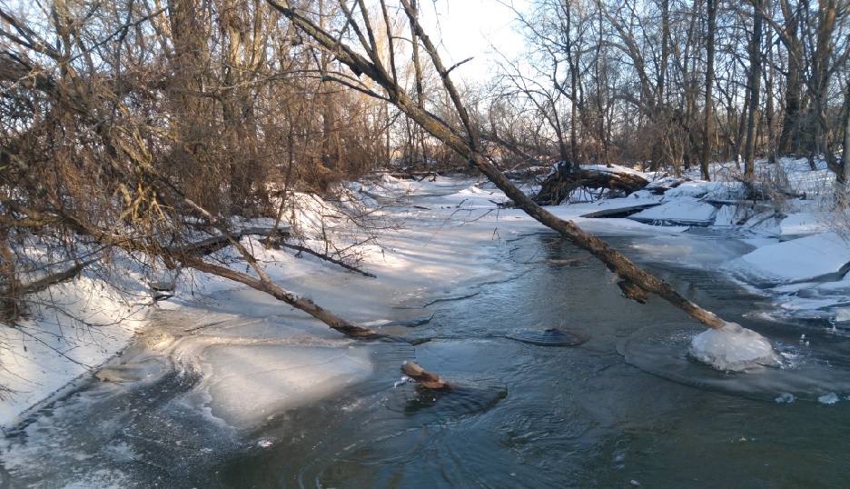 Специалисты Минлесхоза нашли причину затоплений в Нижнеломовском районе