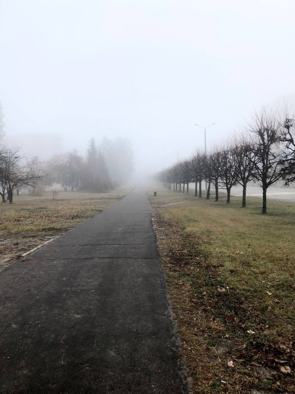 В селе Пензенской области разбитую дорогу отремонтируют битым кирпичом