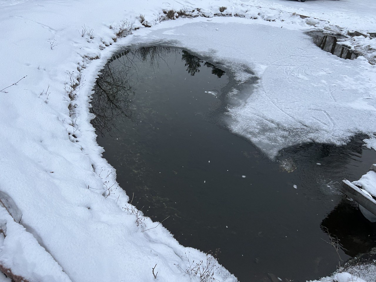 Пензенцев предупредили об угрозе остановки сердца во время ныряния в прорубь