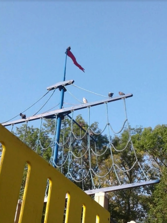 В пензенской администрации намерены восстановить работу детского лагеря «Орленок»