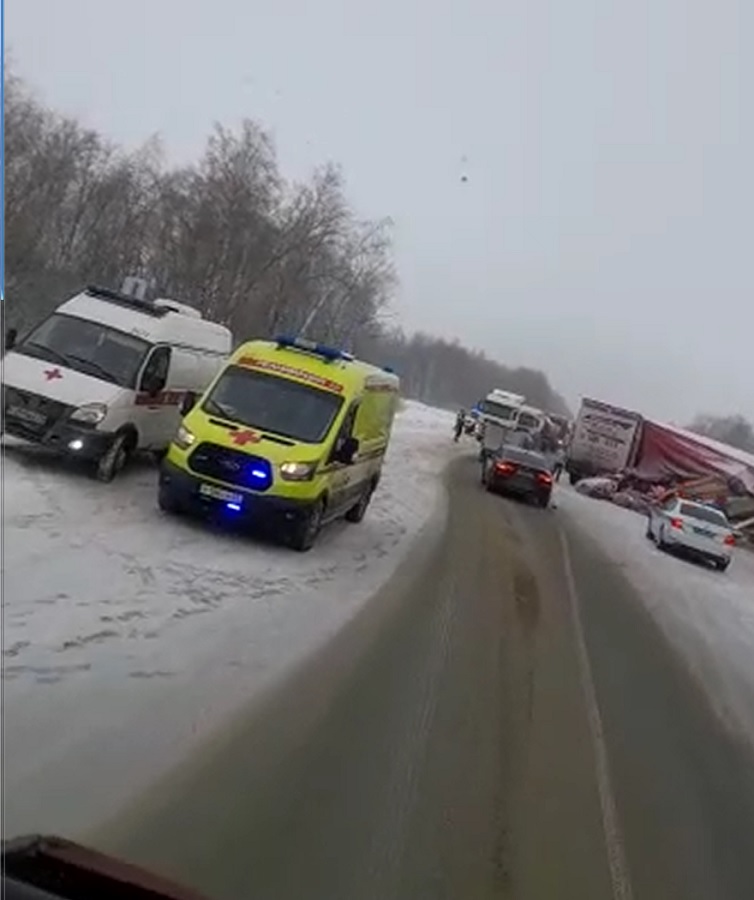 В ДТП на М5 погибли водитель и пассажир микроавтобуса