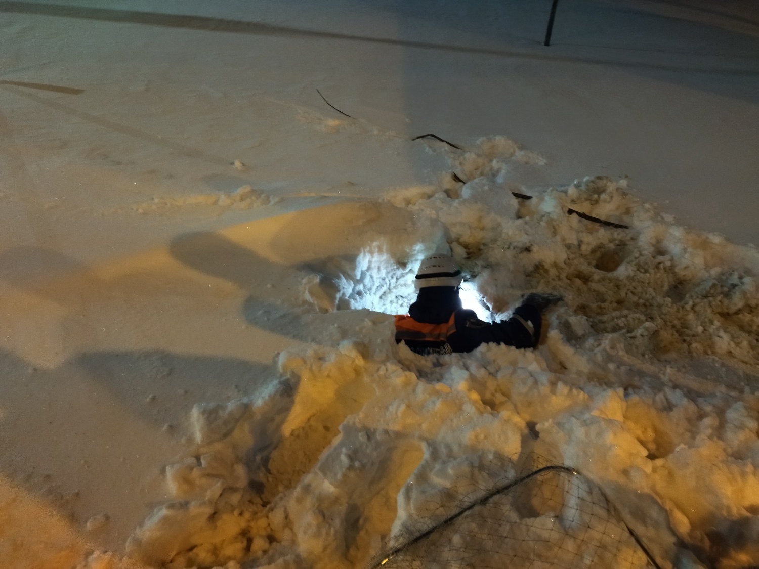 В Пензе спасатели помогли собаке, провалившейся в колодец