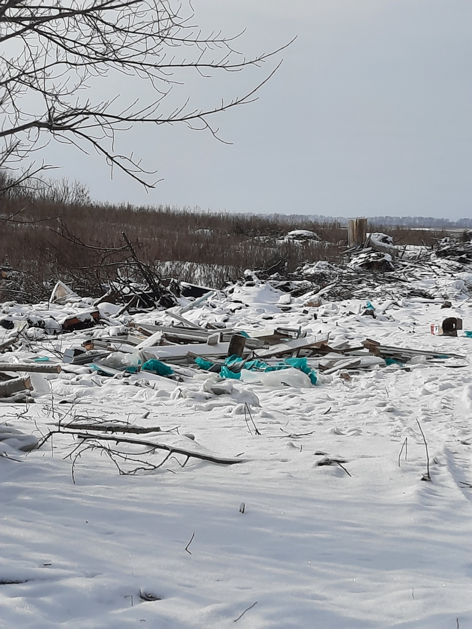 В Пензенской области нашли очередную несанкционированную свалку