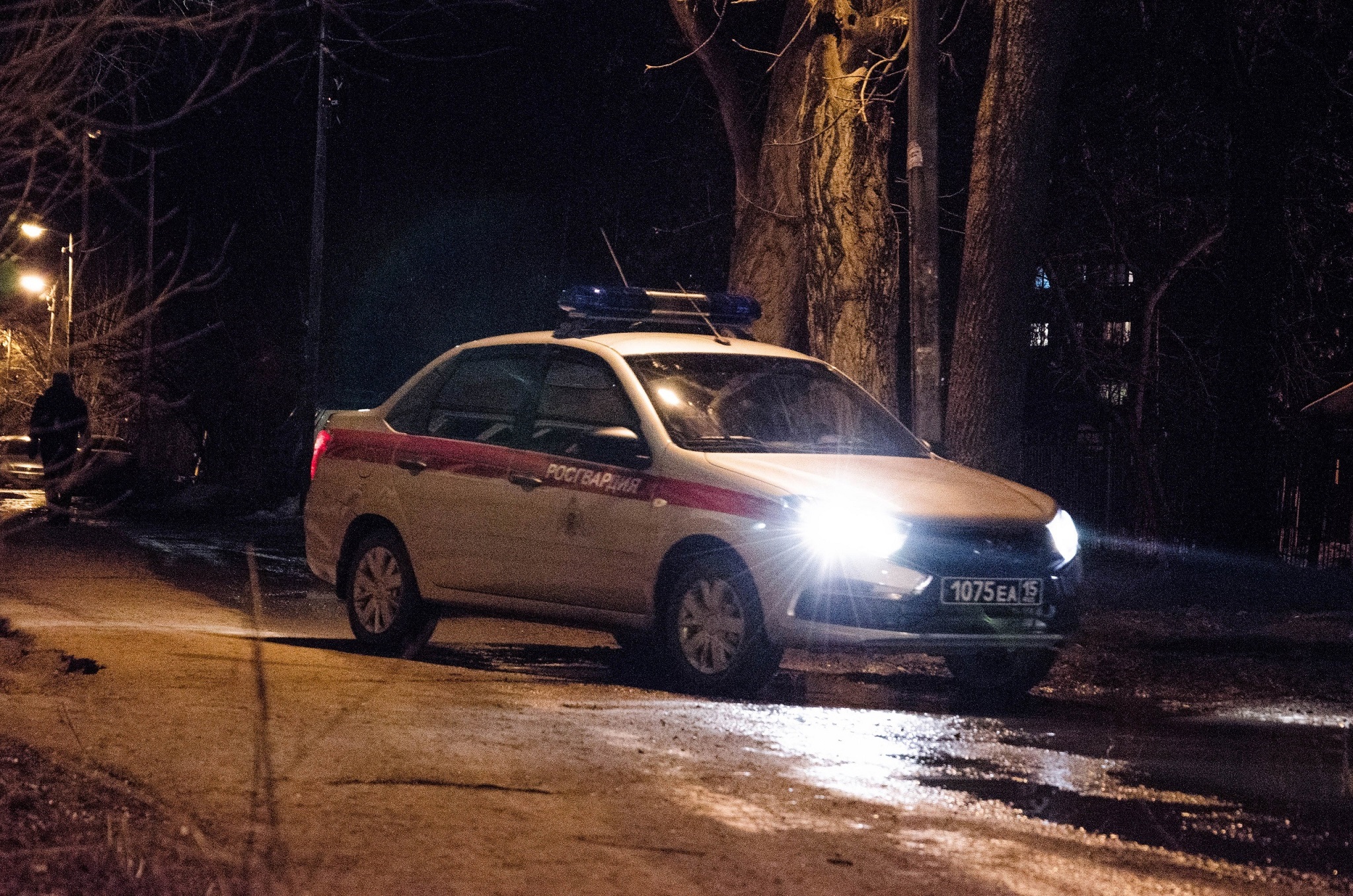 В Пензе посетитель ресторана обрушил стеклянную вазу на голову женщине