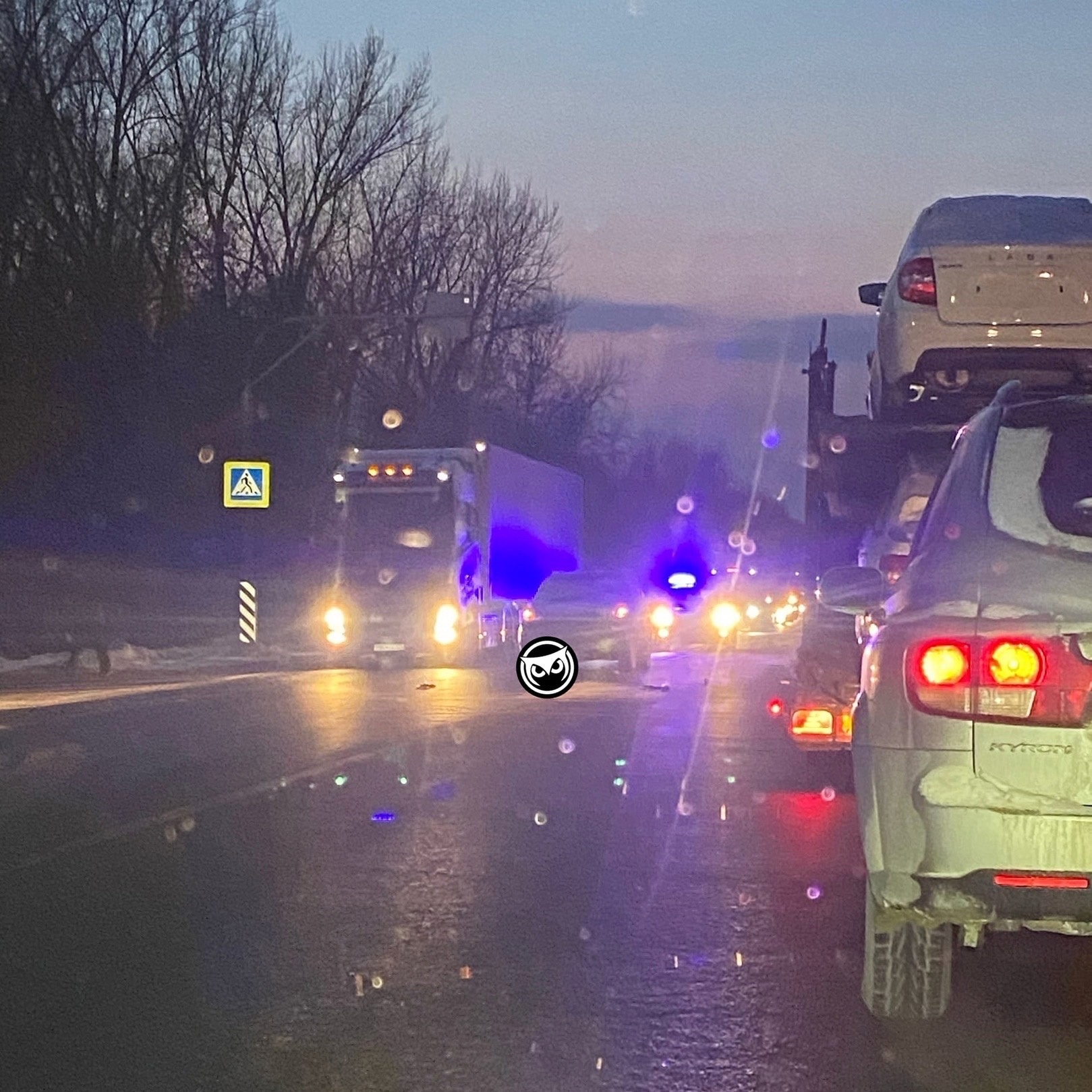 В Пензенской области на М5 водитель «Нивы» сбил пешехода