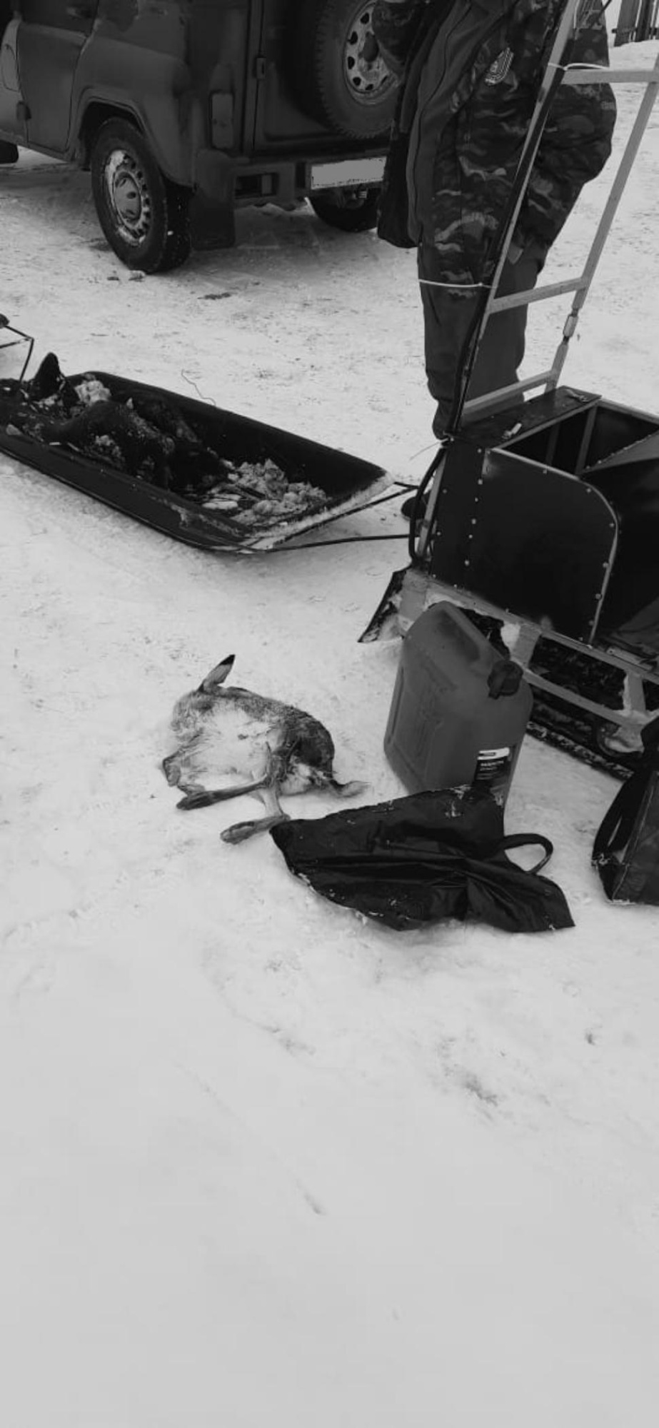 В Пензенской области охотников предупредили о конфискации снегоходов