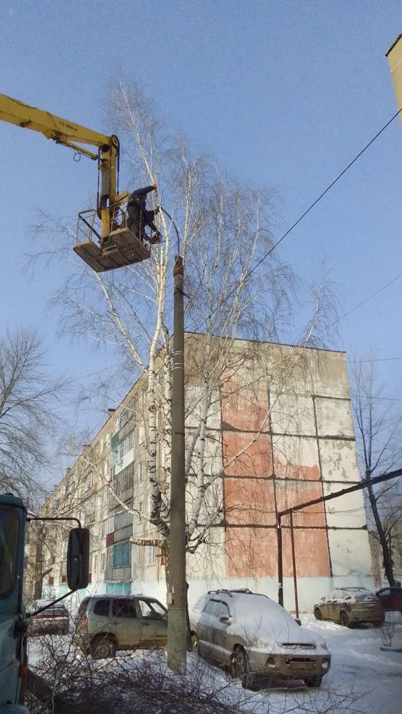 В Сердобске кронировали разросшиеся деревья на улице Сережникова